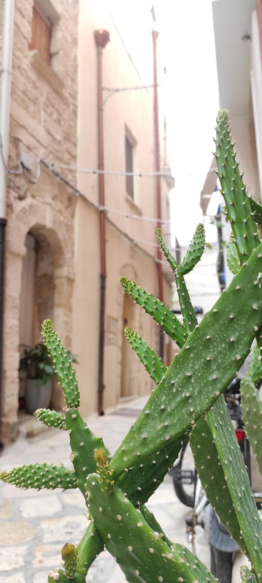 바리 La Follia Dell'Architetto 빌라 외부 사진